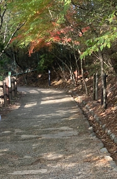 田舎で療養中❣️