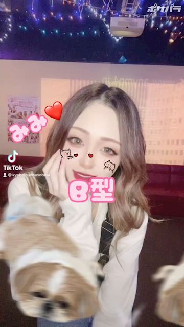 プロフィール動画