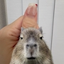 新着ブログ 💅🏻
