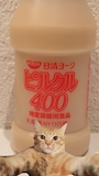 chiko