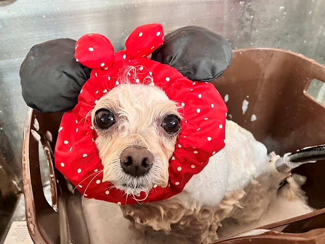 プロフィール写真2・さき｜