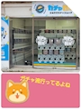 chiko