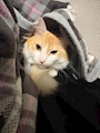プリティウーマン