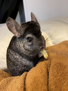 プロフィール写真2・神｜Girls Bar COLOR RED・カラーレッド - 西日暮里のガールズバー