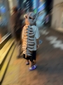 chiko