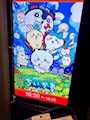chiko