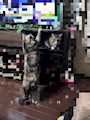 chiko