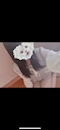 プロフィール写真9・なな|ぱすてる。 - 東武宇都宮のコンカフェ