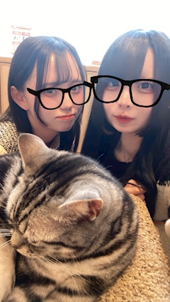 いゔ「猫カフェˆ.  ̫ .ˆ‎」