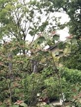 プロフィール写真2・レデモヤマロ｜熟女キャバクラ LADY MODE・レディーモード - 岐阜 可児の熟女パブ/熟女キャバクラ