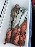 さら