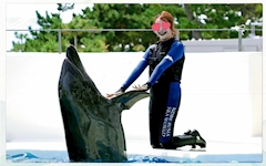 プロフィール写真6・ゆきほ｜Girl's Bar RAISE・レイズ - 高円寺のガールズバー