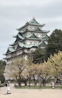 新着ブログ Nagoya  castle🐣