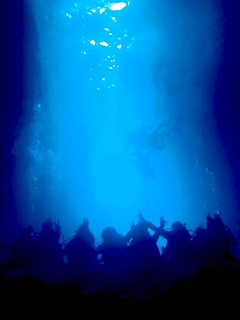 プロフィール写真6・かなで🐈‍⬛あんど&ねこ池袋｜