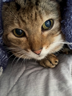 プロフィール写真1・まき｜Mon・モン - 館林のキャバクラ