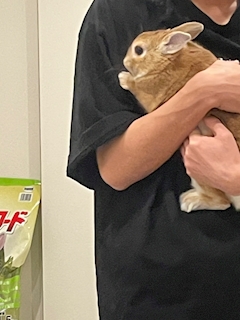 プロフィール写真6・りんのすけ｜Concafe & Lounge Gilgamesh・ギルガメッシュ - 池袋東口のコンカフェ