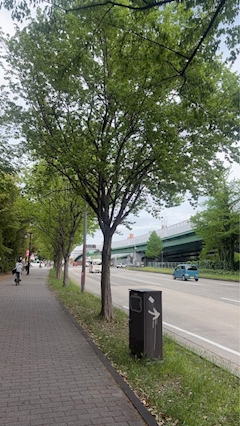 天使 りる
