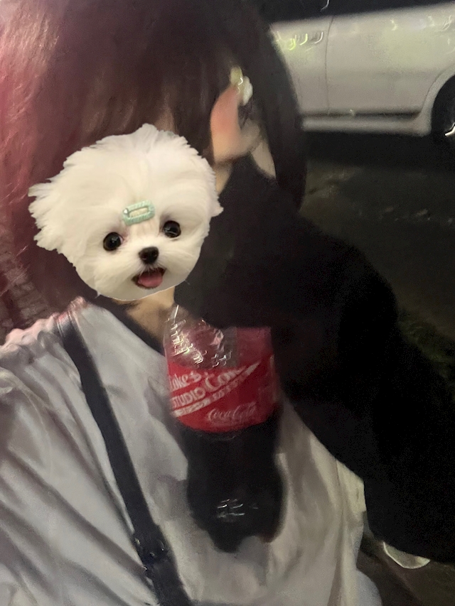 プロフィール写真1・あむ｜