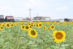める