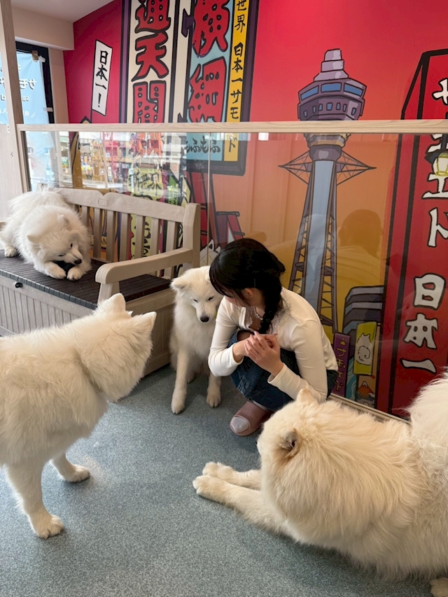 プロフィール写真4・にか🎀レリアン｜