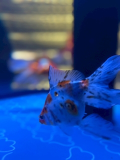 プロフィール写真1・スタッフ｜