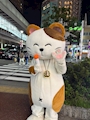 chiko