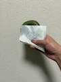 新着ブログ ドーナツ🍩