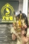 プロフィール写真1・のあ|百花繚乱・ヒャッカリョウラン - 上野のパブ/スナック
