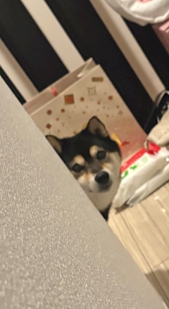 なみ