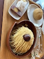 新着ブログ 🌰