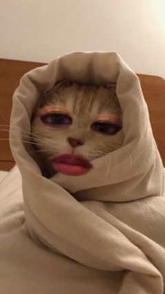 プロフィール写真1・ちよ｜Luxury Space Lalah・ララ - 浜松のキャバクラ