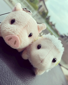 プロフィール写真2・しほ｜Snack Room・ルーム - 盛岡のスナック