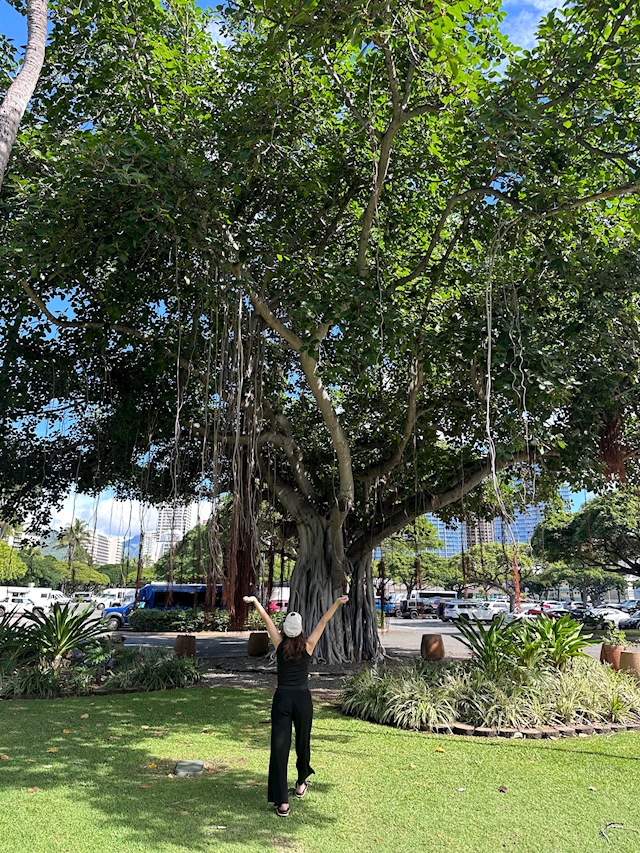 プロフィール写真1・小鳥遊　みずき【Day】｜