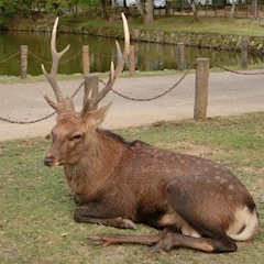 プロフィール写真2・えりな|Mrs.J 梅田・ミセス ジェイ ウメダ - 梅田の熟女パブ/熟女キャバクラ