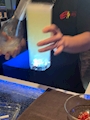 chiko