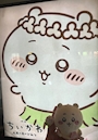 chiko