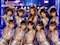 プロフィール写真10・まりん|美女to夜獣・ビジョトヤジュウ - 古河・東口のパブ/スナック