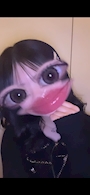 chiko