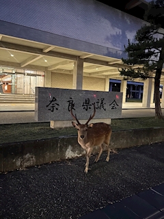 ひなた