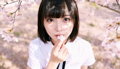 とりい「桜、似合わなすぎ」