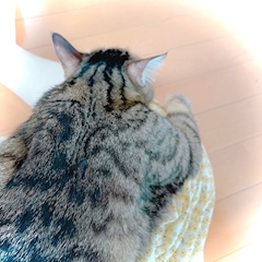 🍀🍀みな🍀🍀