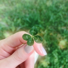 🍀🍀みな🍀🍀