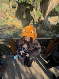 もか