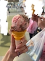 新着ブログ 何味でしょうか🍨