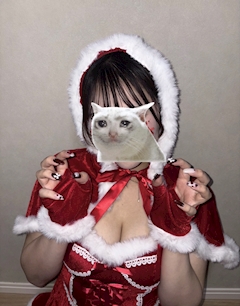 みか🐈‍⬛🐈🤍