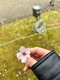 ゆみ