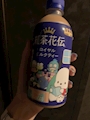 chiko