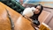 プロフィール写真2・りおん｜La Mer・ラメール - 佐世保市・山県町のガールズバー