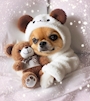 chiko
