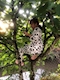 プロフィール写真2・ちゃみ|Anna Miller's・アンナミラーズ - 荒川沖のガールズバー